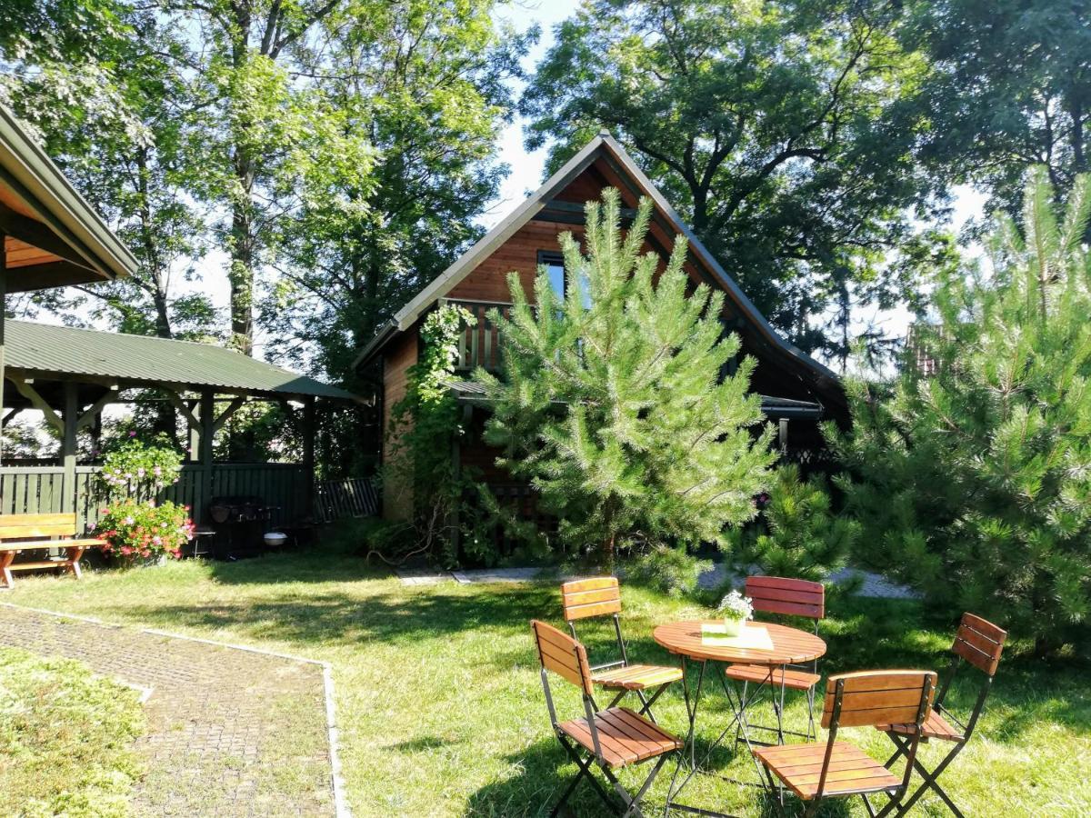 Sosnowa Oaza Vila Baranów Sandomierski Exterior foto