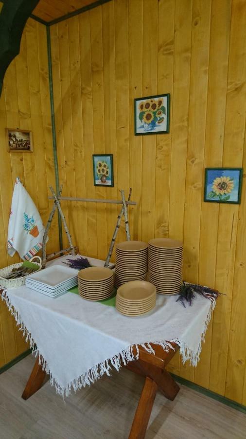 Sosnowa Oaza Vila Baranów Sandomierski Exterior foto